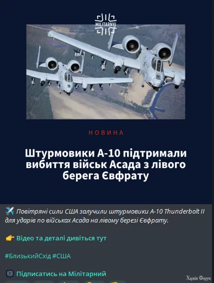 1733248399110.webp