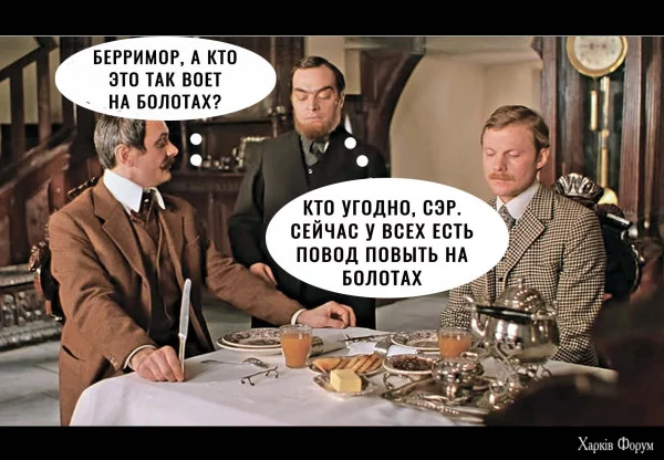 1733359085683.webp