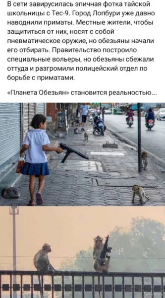 1733359500665.webp