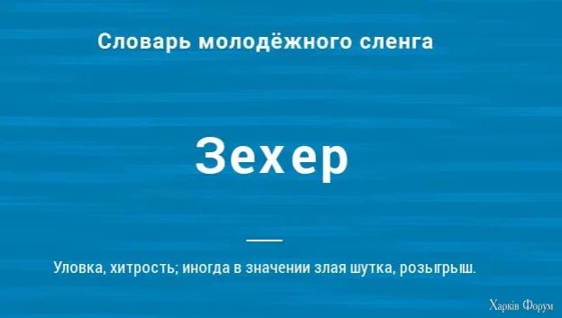 1733382520053.webp