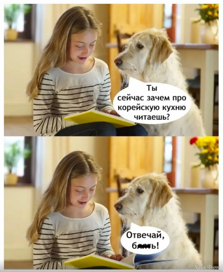 1733515092714.webp