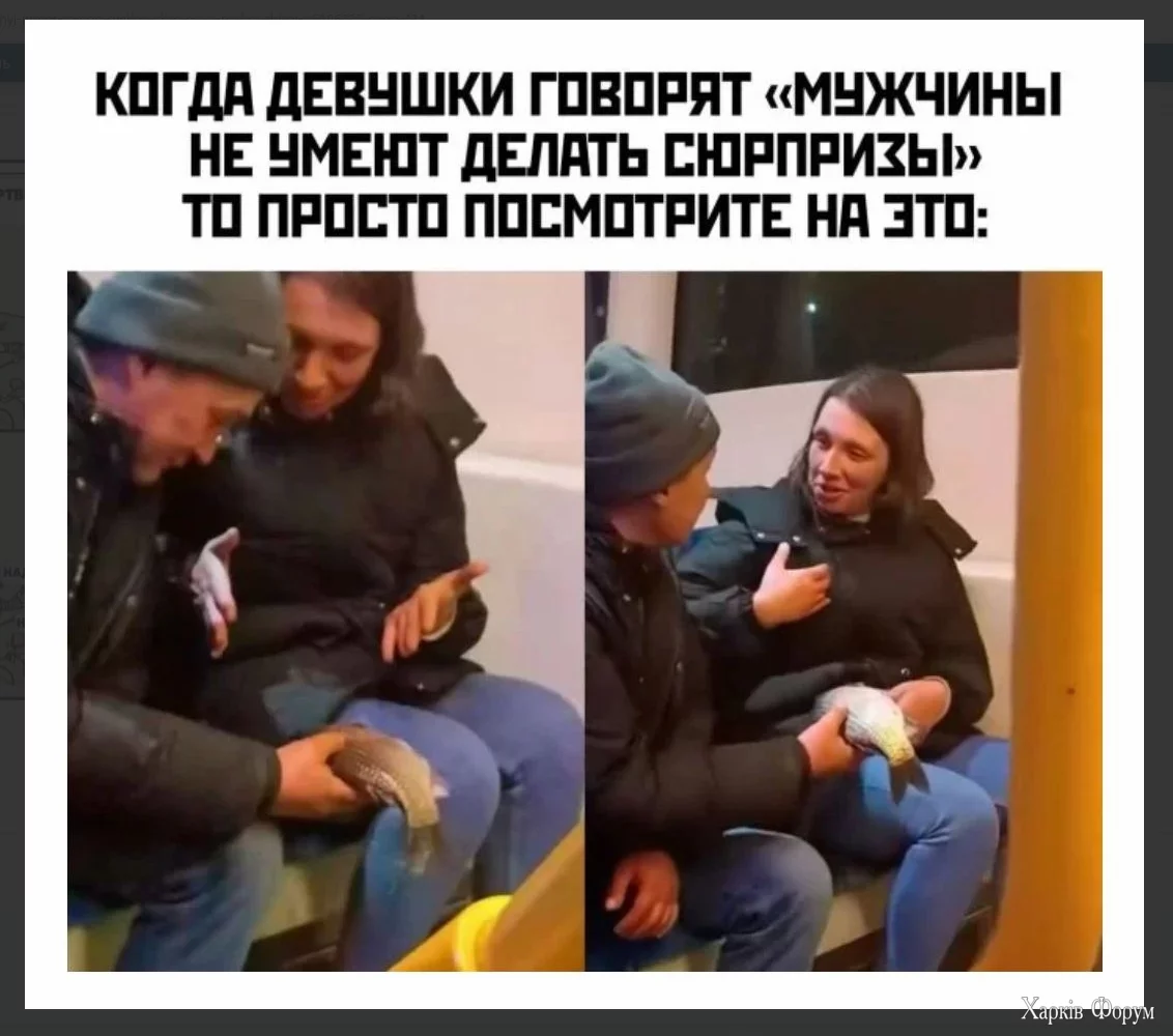 1733563762806.webp
