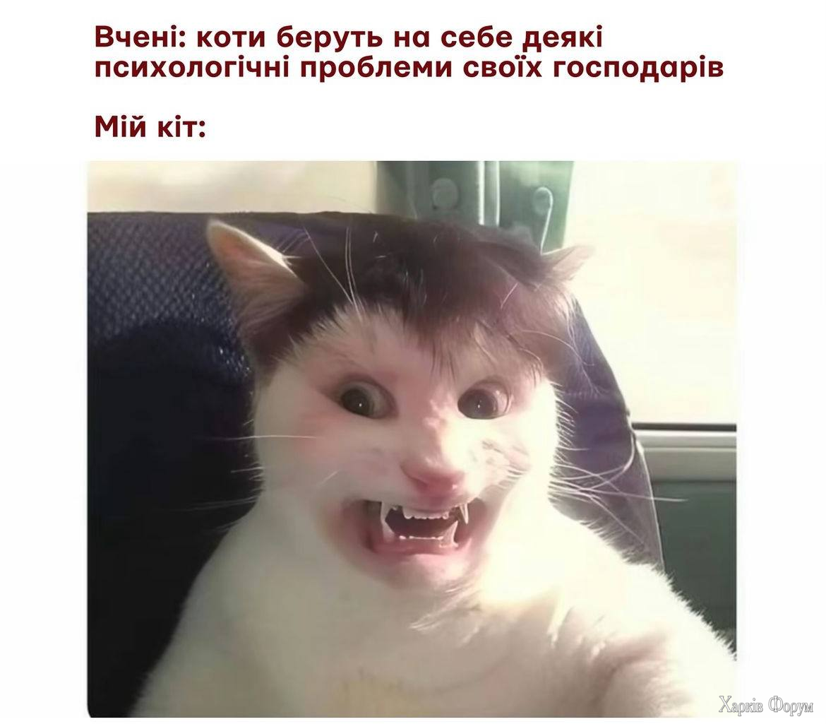 1733599430402.png