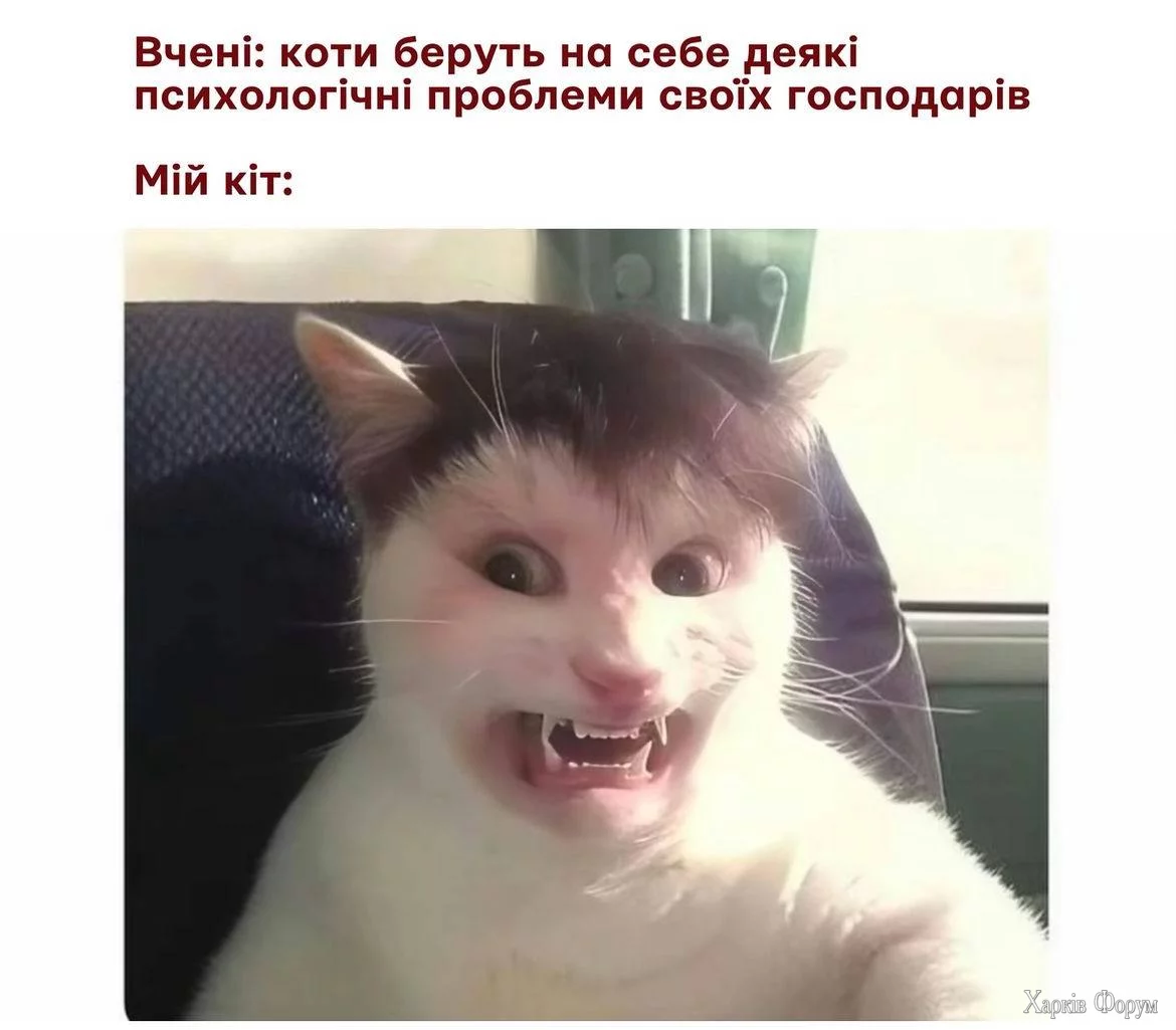 1733599430402.webp