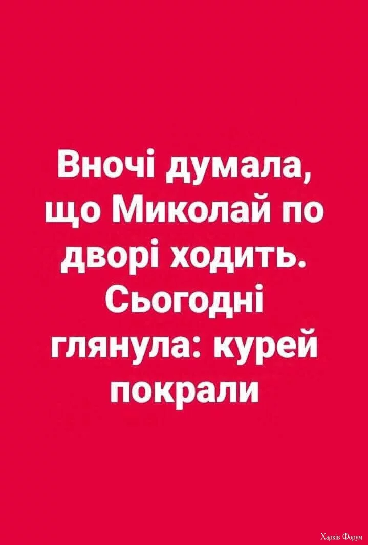 1733737877421.webp