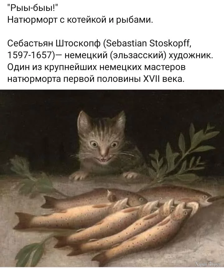 1733860917396.webp