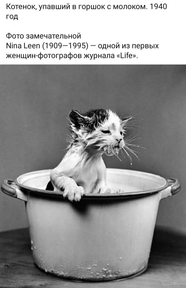 1733999859918.png