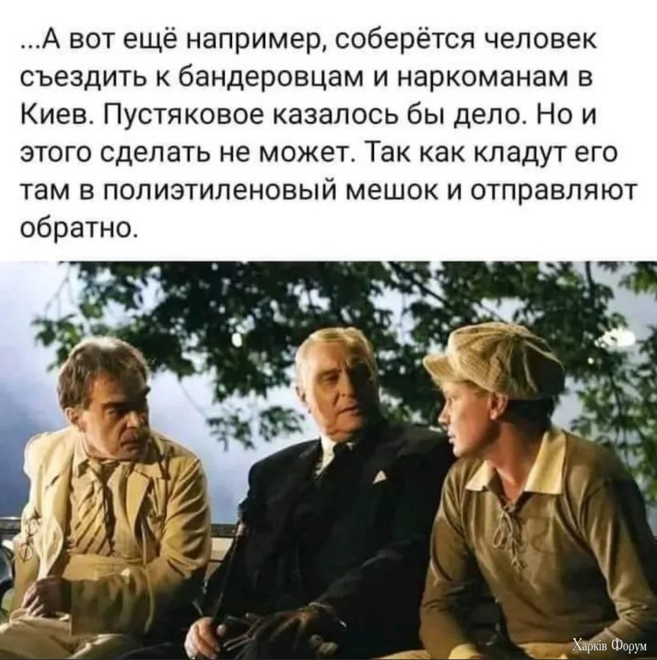1734003648658.webp