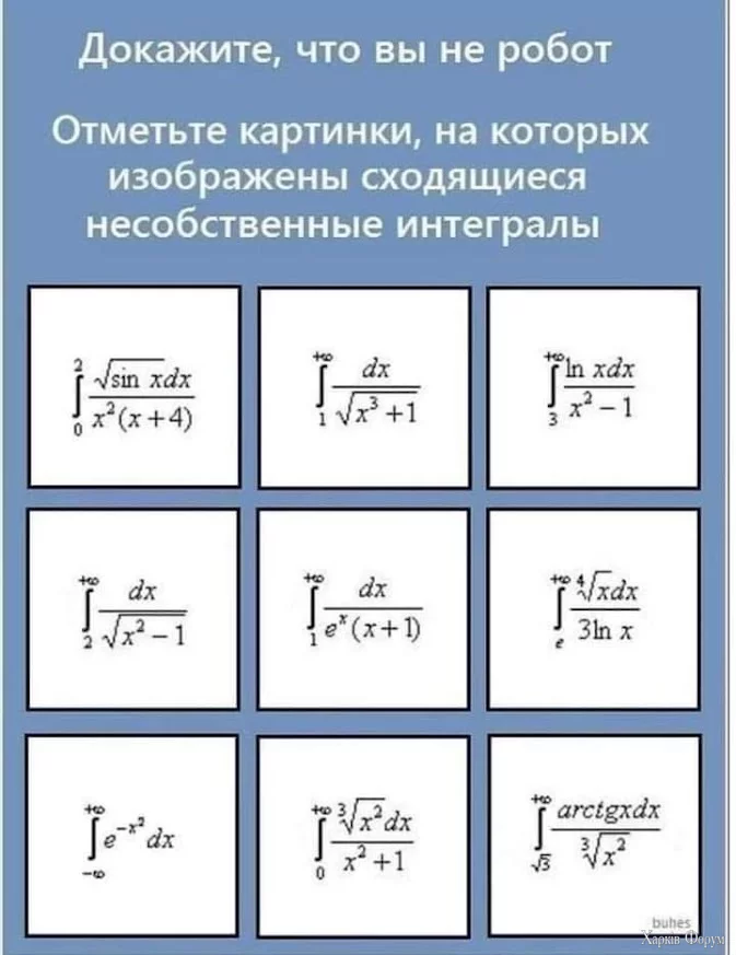 1734035457188.webp