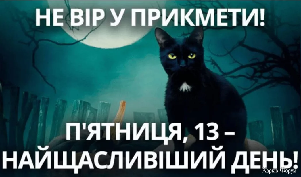 1734109268869.webp