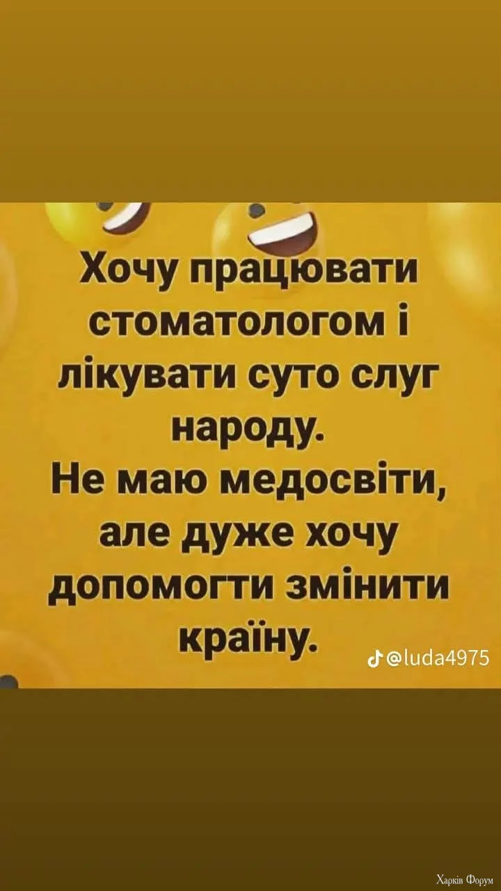 1734117250688.webp
