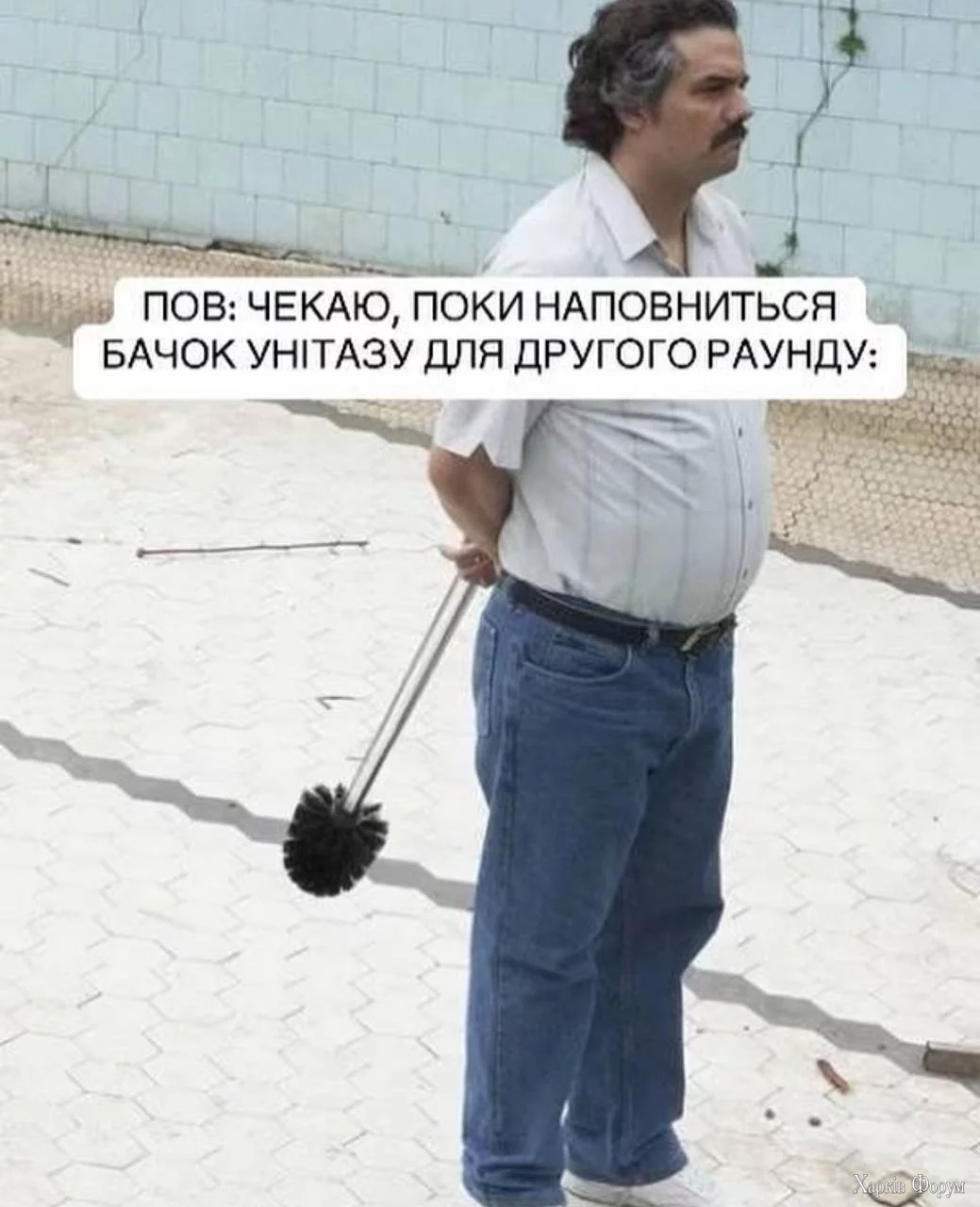 1734189469178.webp