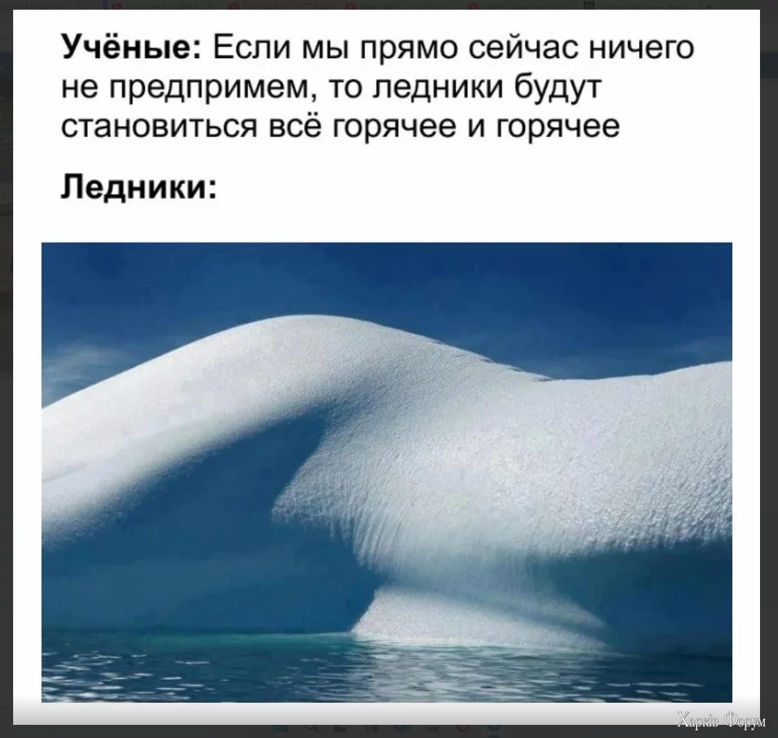 1734197530921.webp