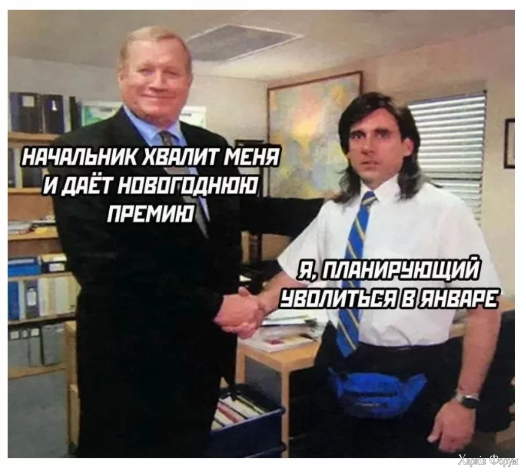 1734197549848.webp