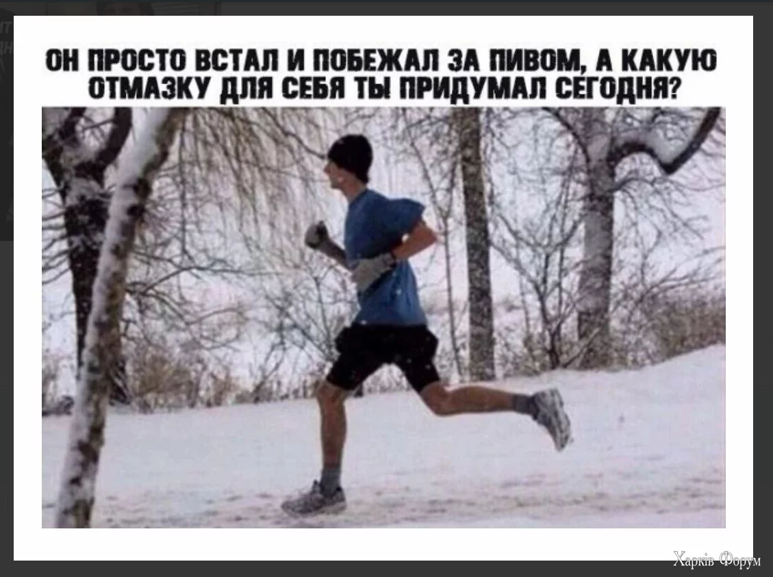 1734197573510.webp