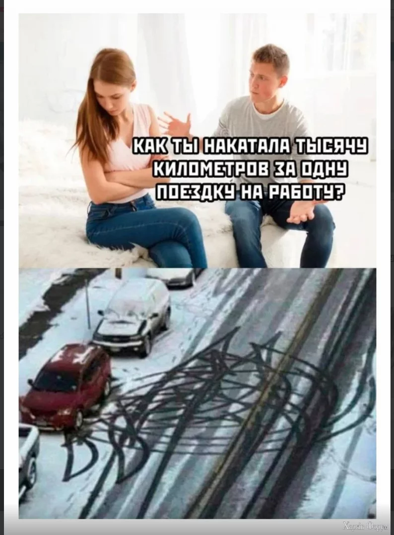 1734197599197.webp