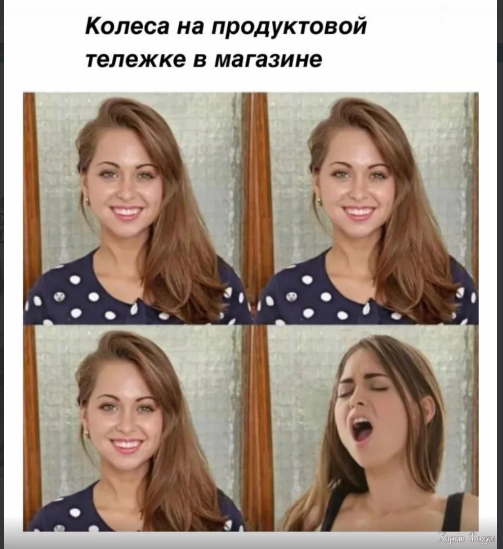 1734197617991.webp