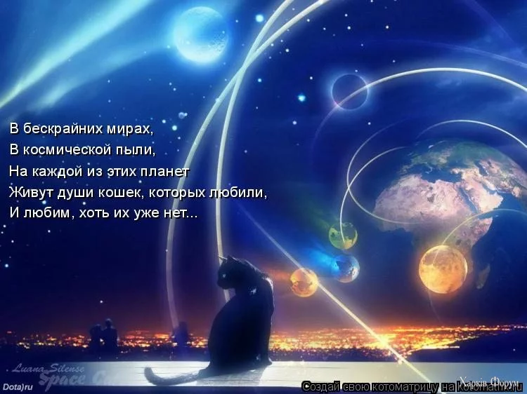1734425461244.webp