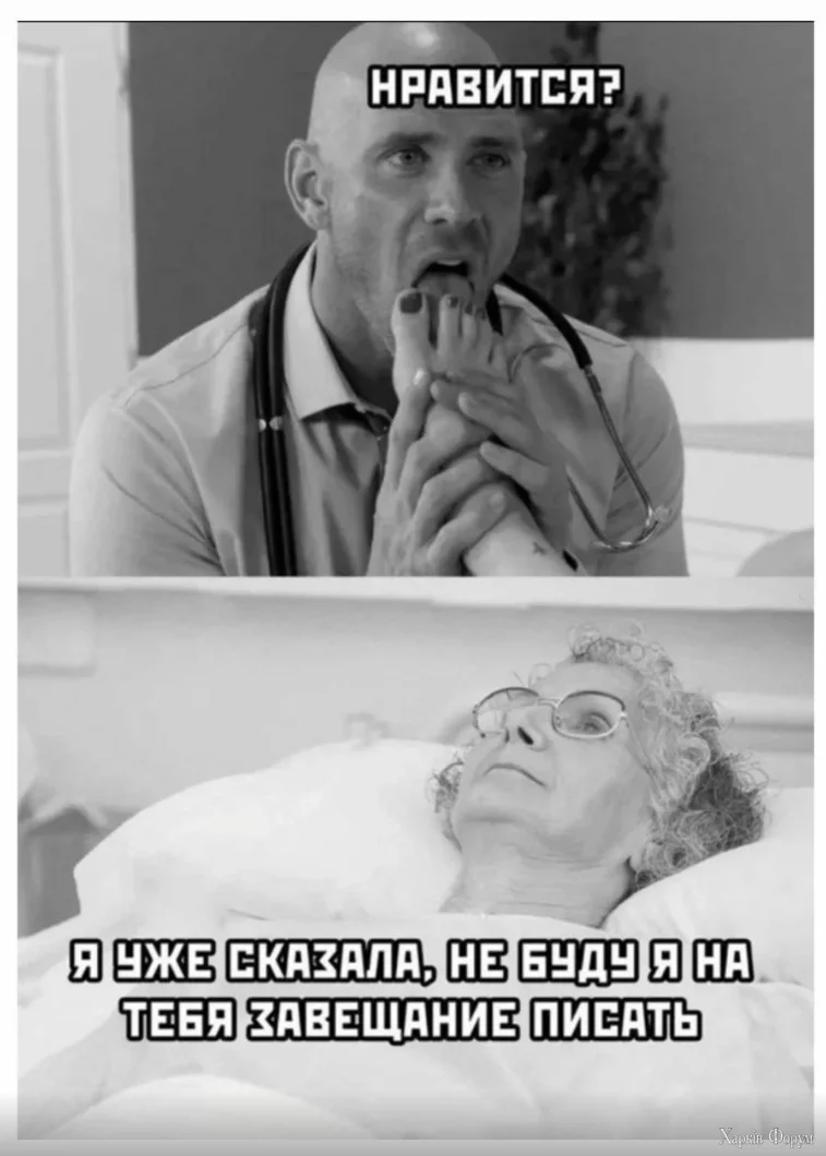 1734440543776.webp