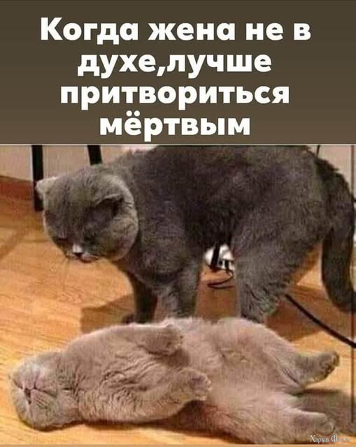 1734557246232.png