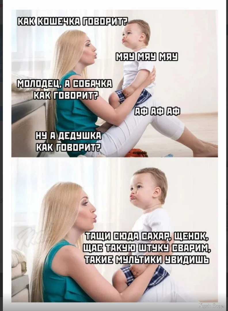 1734793554985.webp