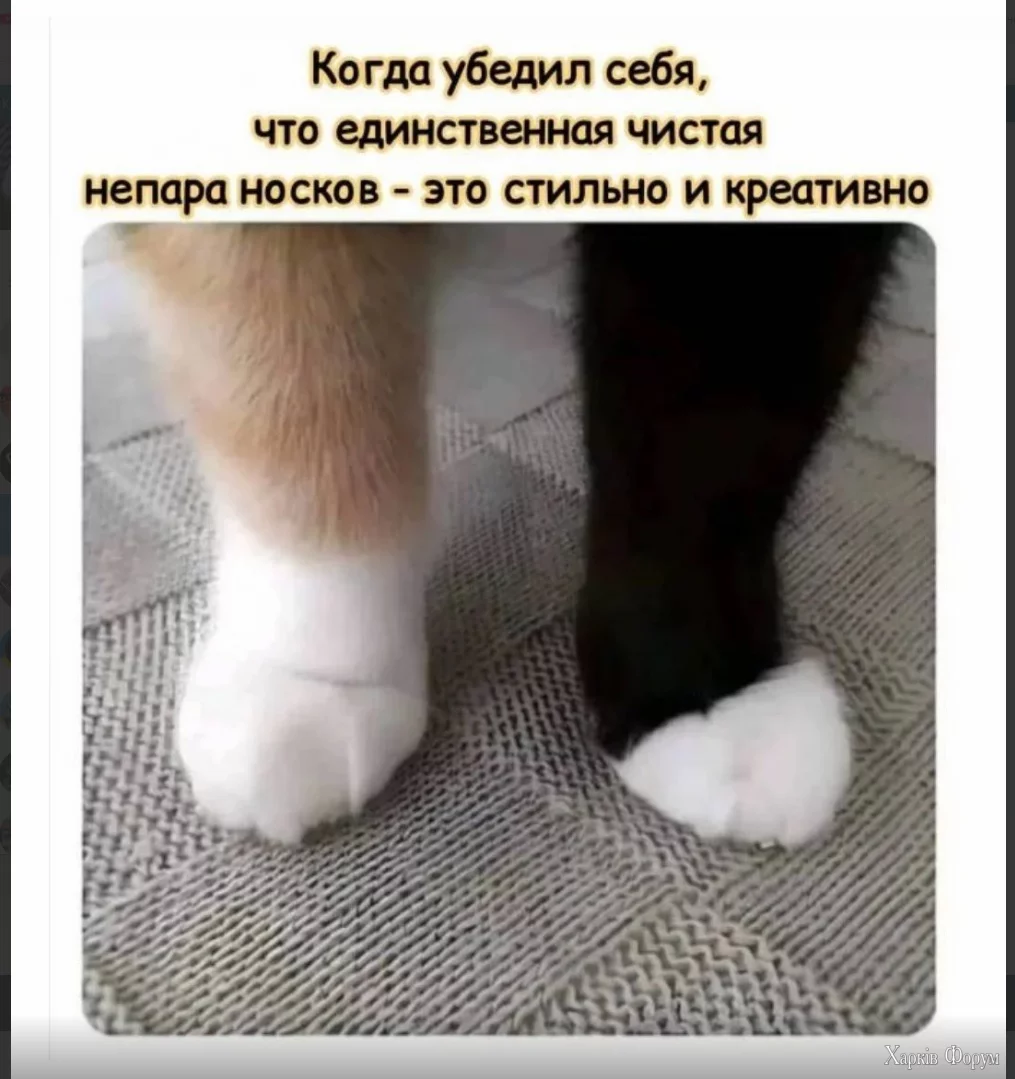 1734807948905.webp
