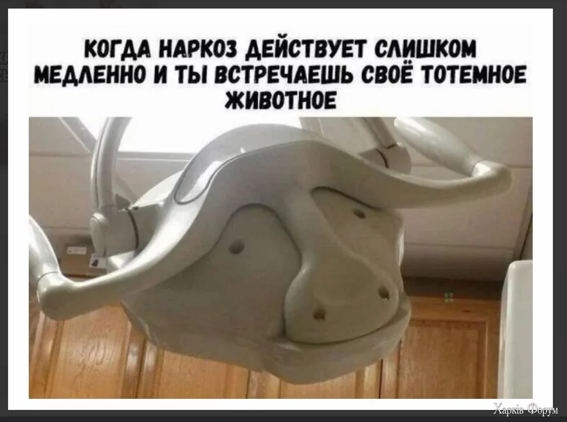 1734808034424.webp