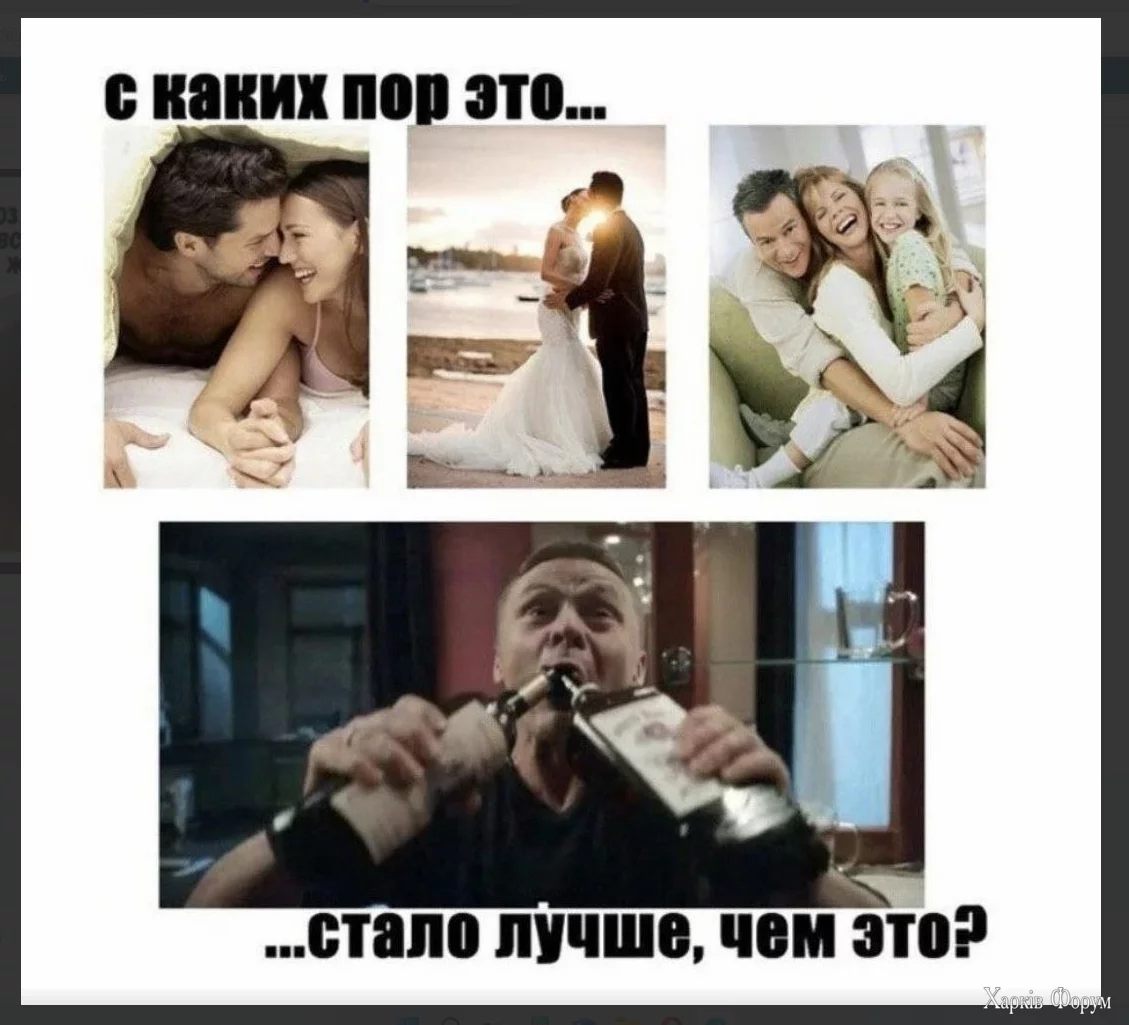 1734808056788.webp