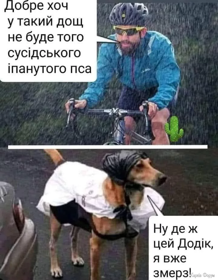 1734811699041.webp