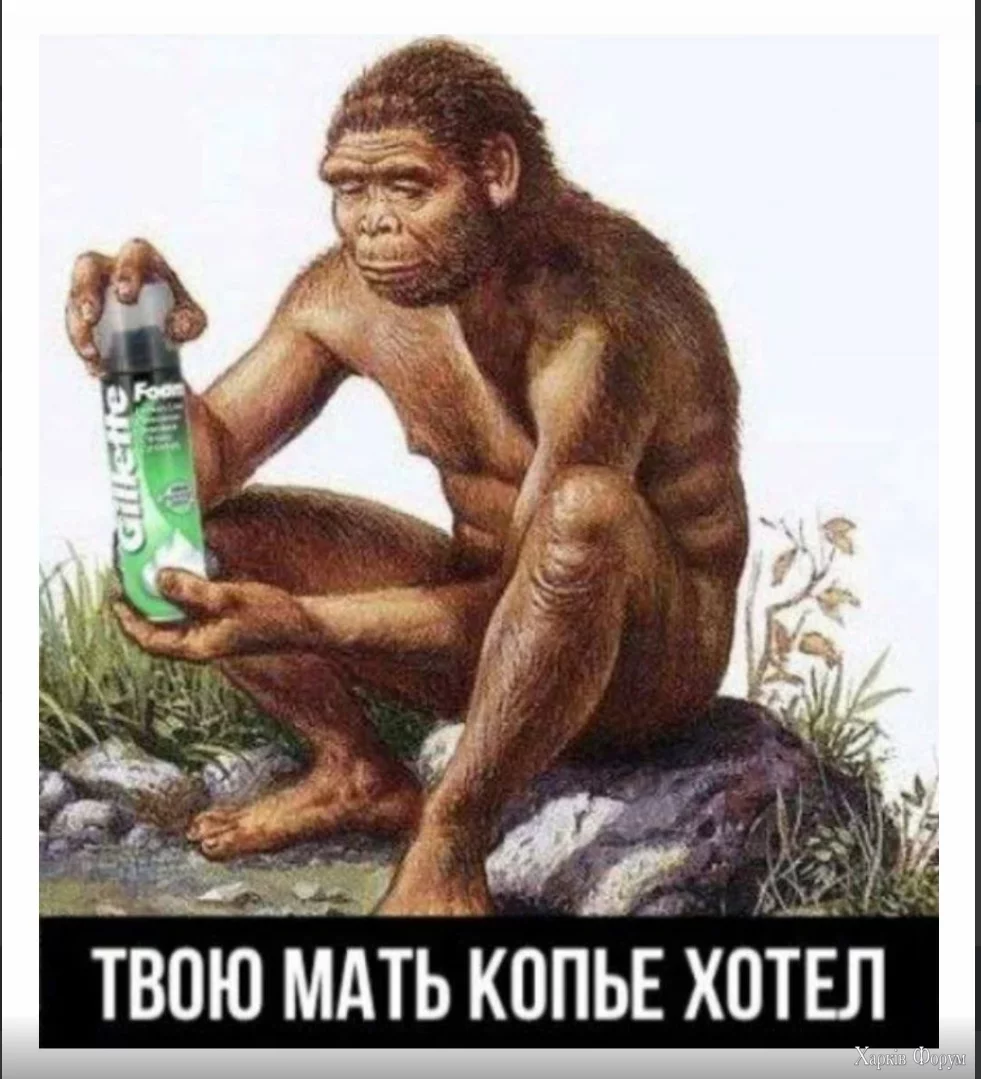 1734969113773.webp