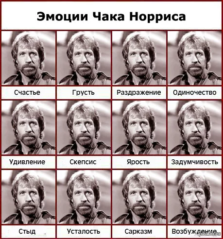 1734987505029.webp