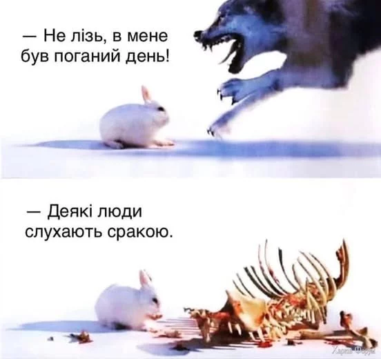 1735085162268.webp