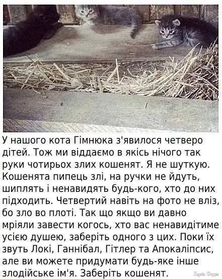 1735086783551.webp