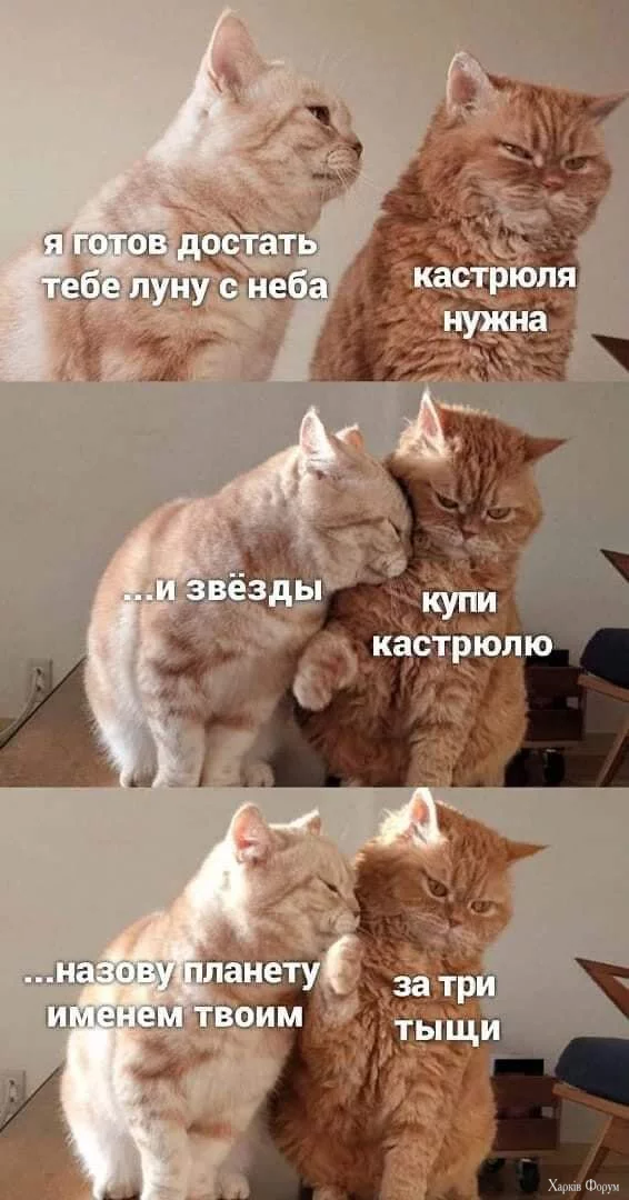 1735208648408.webp