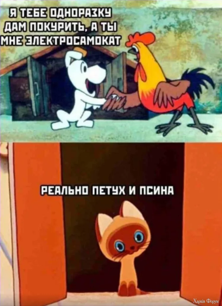 1735235853429.webp