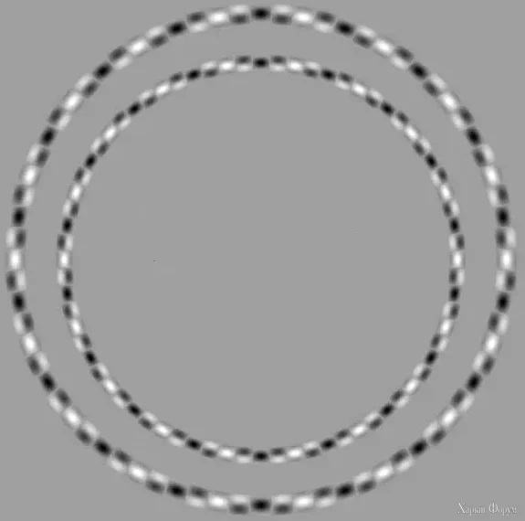 1735241690699.webp