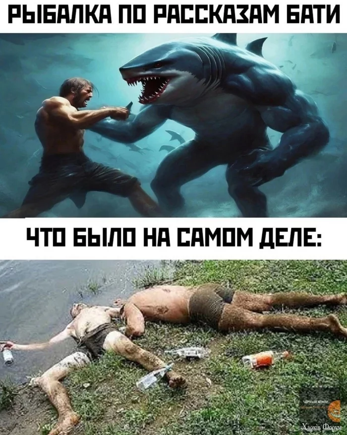 1735395524284975815.webp