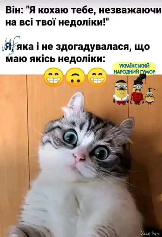 1735405097178.webp