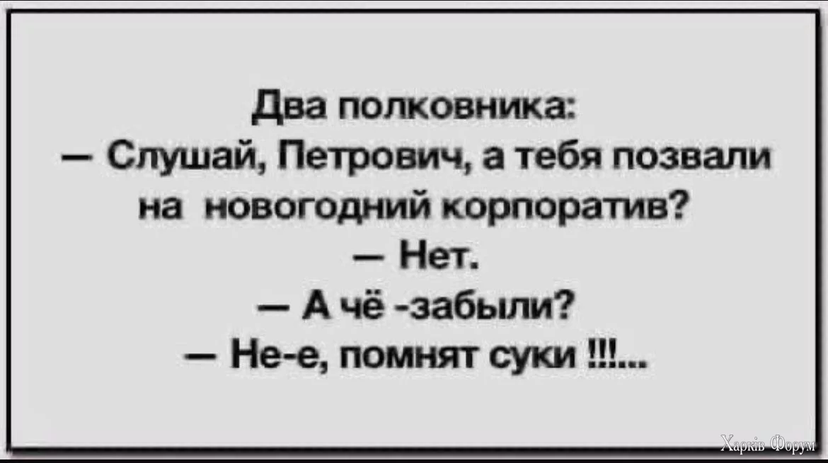 1735477753177.webp