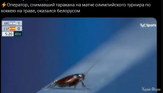 1735557553461.webp