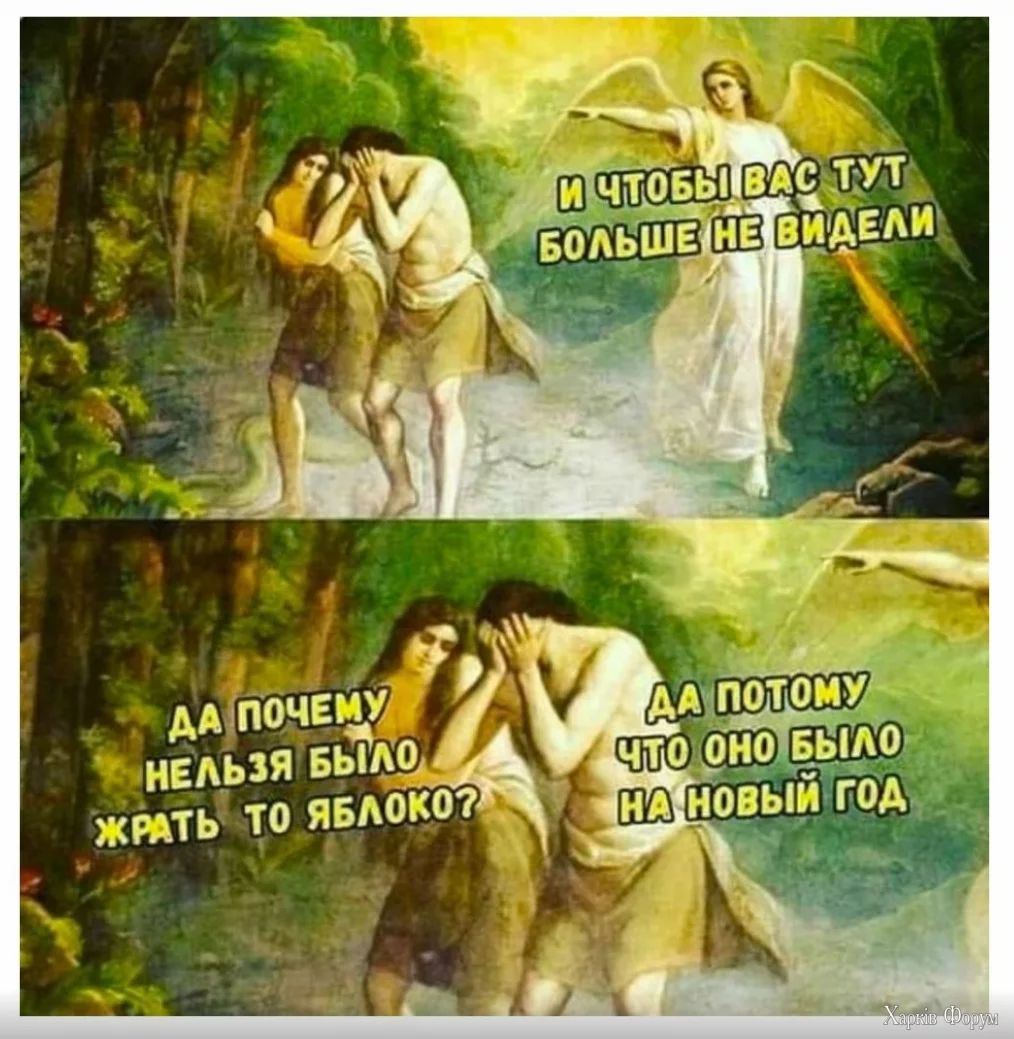 1735564664076.webp
