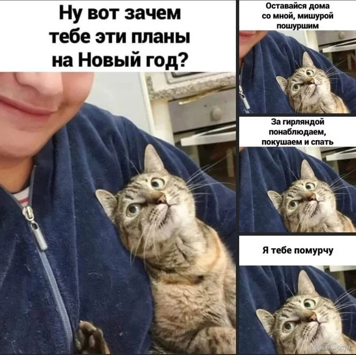 1735572623868.webp