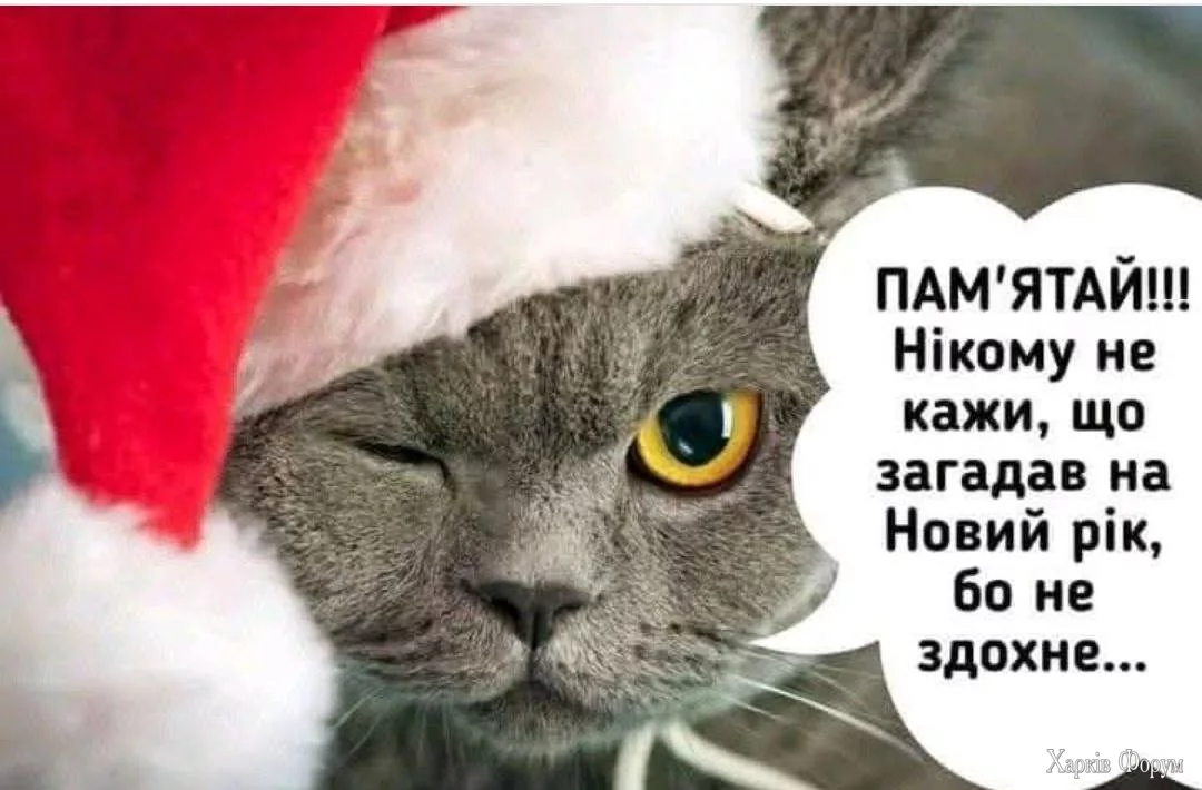 1735575943114.webp