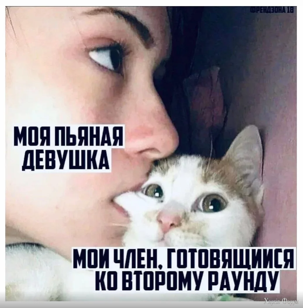 1735745974188.webp