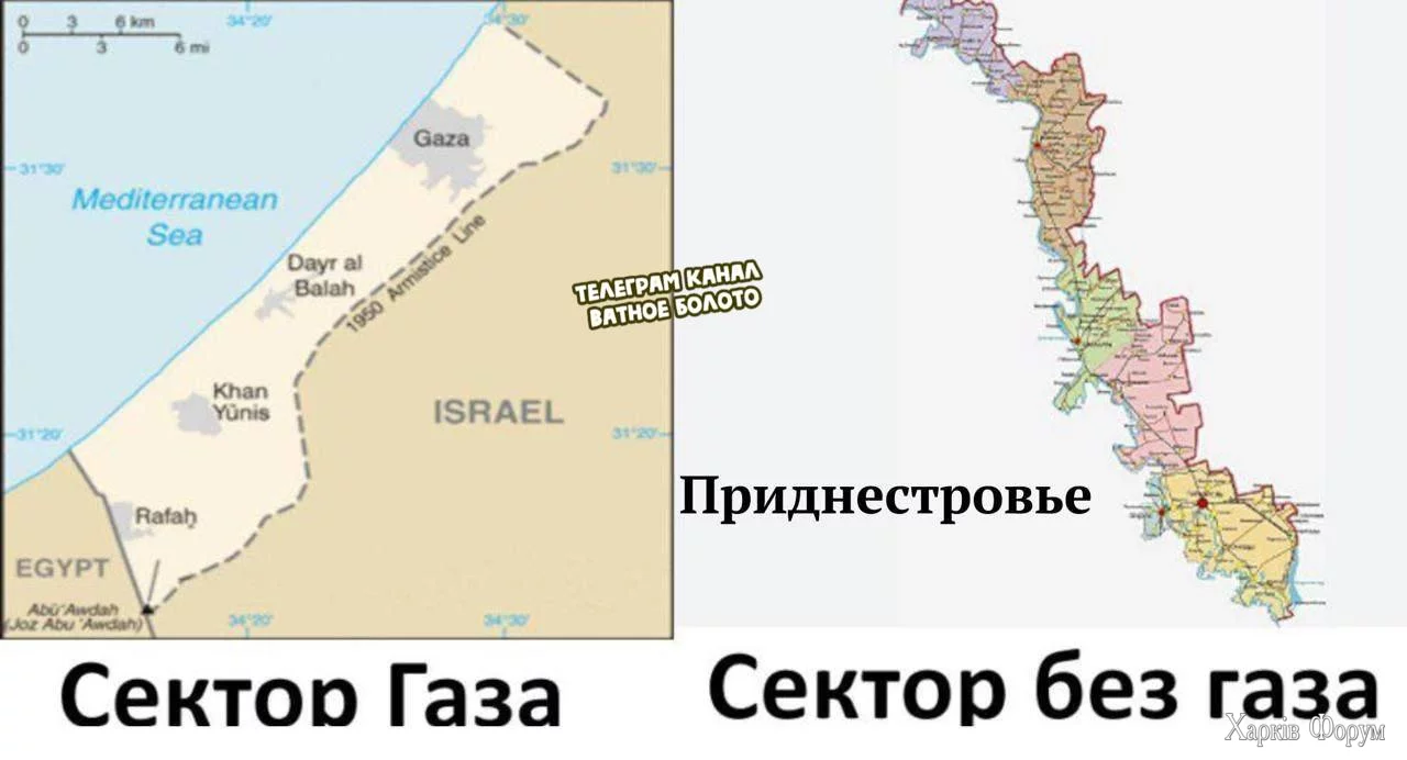 1735924035366.webp
