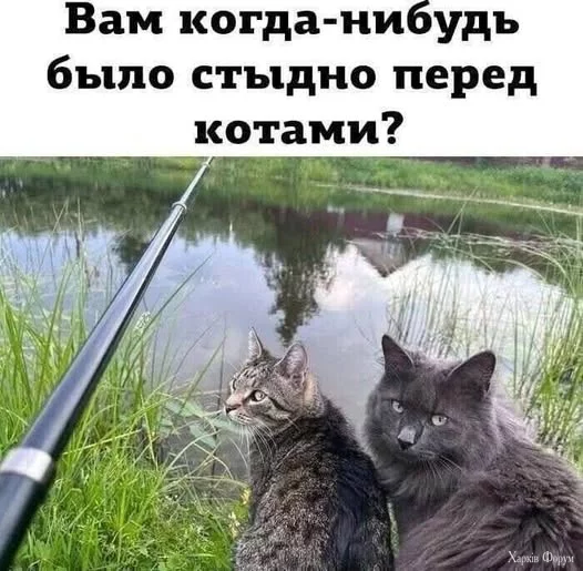 1735930601341.webp