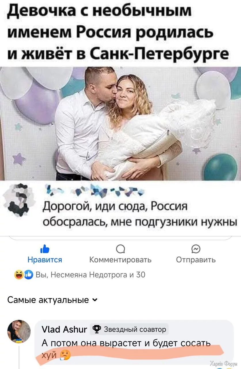 1735942279005.webp