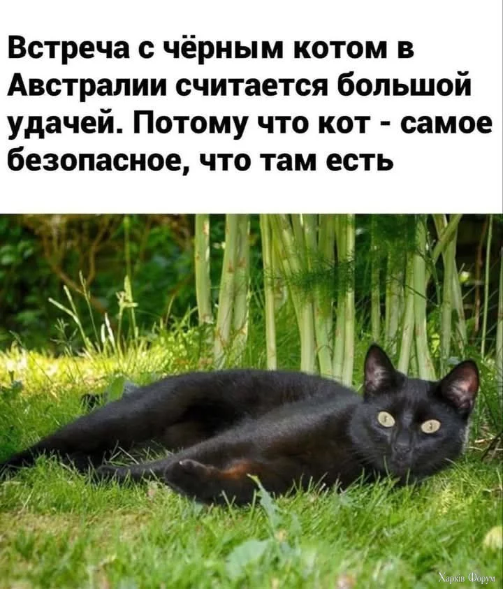 1735981028716.webp