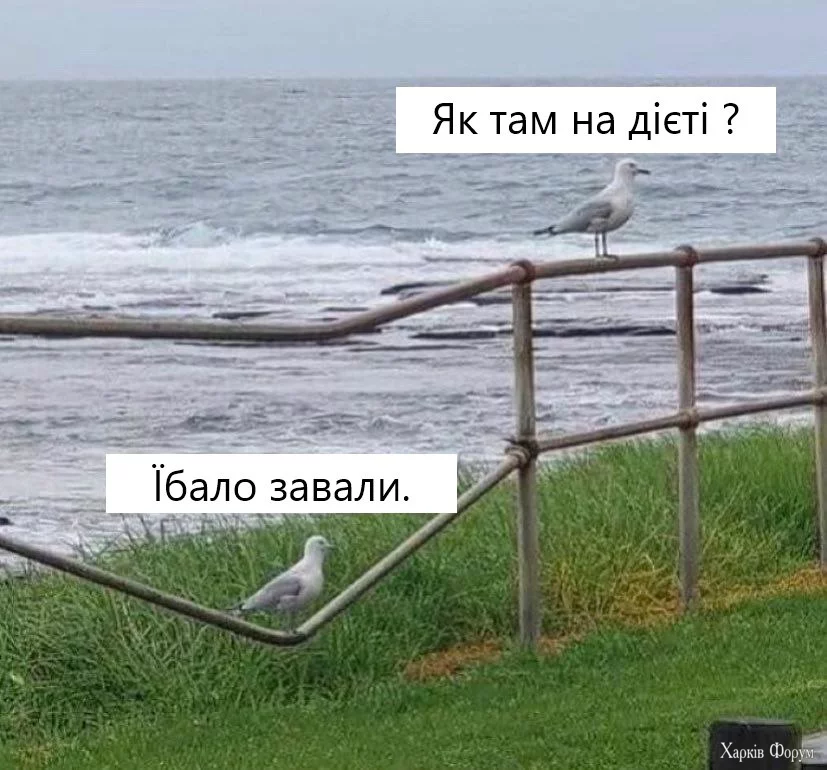 1736192642965.webp