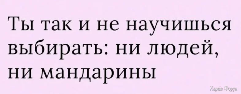 1736273632113.webp